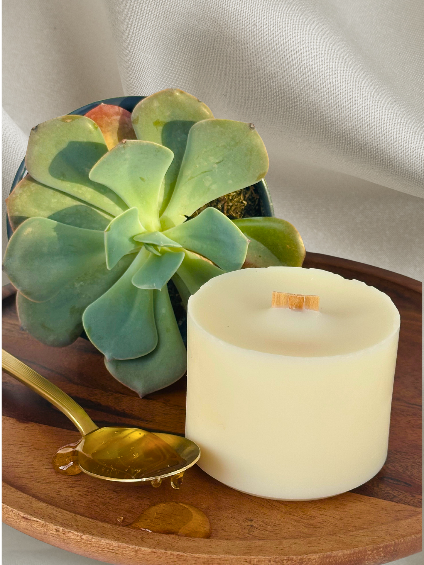 cactus & agave handmade candles, front